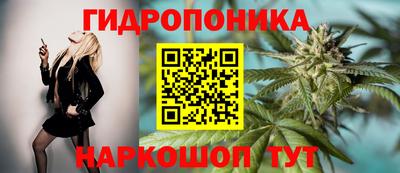 ешки Ливны