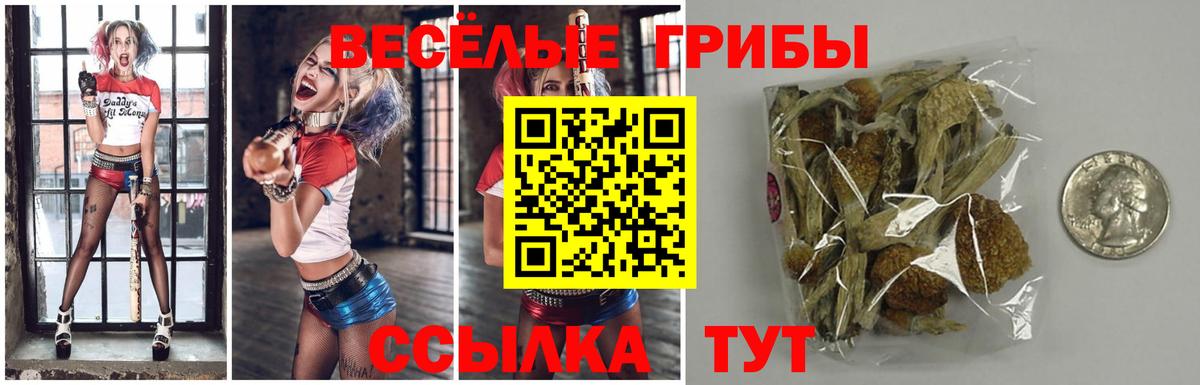Ипатово  Псилоцибиновые грибы прущие грибы  Вход с VPN 